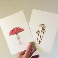 Paddenstoelen