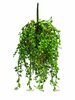 Hangplant Erwtenplant Groen kunstplant 25cm