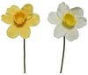 Narcis polyester H39cm geel/wit 2 assorti