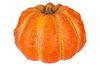 POMPOEN GRAINY ORANJE 24,1X23,6XH15,8CM ROND KERAMIEK