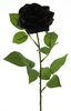 Roos Zwart/Rosa Dijon black 64cm