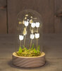 STOLP GLAS MET TULPEN 6 LED OP BATTERIJ 8.5X14CM WIT