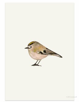 Goldcrest