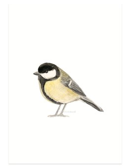 Great tit watercolor , Koolmees aquarel