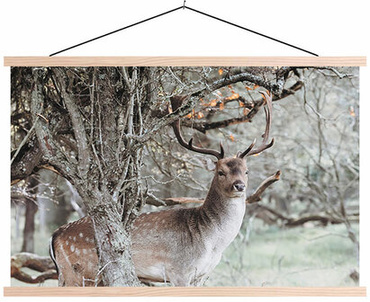 Deer winter canvas