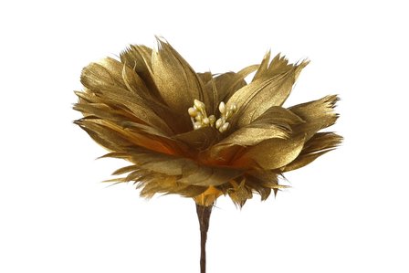 bloem goud veren lang 60