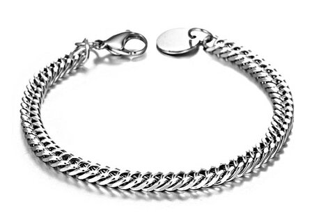 Stainless steel armband. Lengte 21cm Nikkel, lood en cadmiumvrij