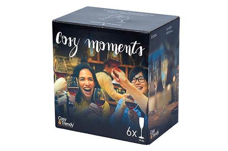 CHAMPAGNEGLAS 19CL SET6 COSY MOMENTS 