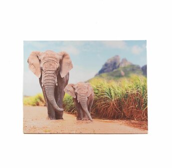 BUITEN CANVAS 58X78CM OLIFANT MET JONG