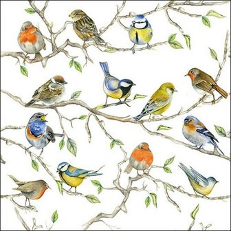 Servetten Birds Meeting 33cm 20 stuks