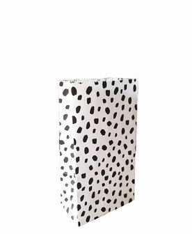 Blokbodem cadeau zakjes 16 cm Dots Zwart / Wit set 2