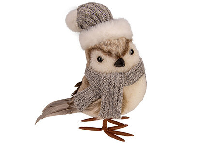 vogels winter met muts en sjaal