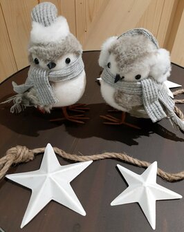 vogels winter met muts en sjaal