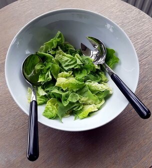 SALADE BESTEK, opscheplepels, ZWART