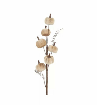 Pompoen kunsttak Taupe 10x4x50cm.