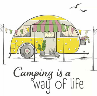 Caravan, Camper, &nbsp;Servetten Camping 20-delig 24x24cm