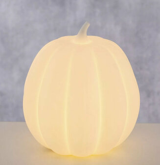 POMPOEN LED WIT