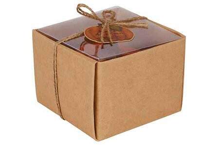 Kaars Pompoen Oranje