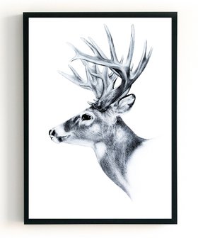 Poster 2 in 1 | Bull | DEER