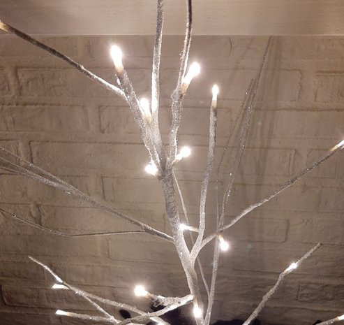 Tak met 24 lichtjes Wit 120cm J LINELeds+3xaa Batterij Glitter Wit 120cmvan J-LINE