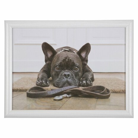 Schootkussen humor franse bulldog 43cm