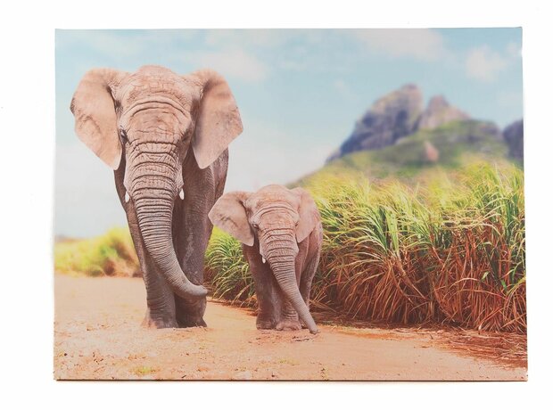 BUITEN CANVAS 58X78CM OLIFANT MET JONG