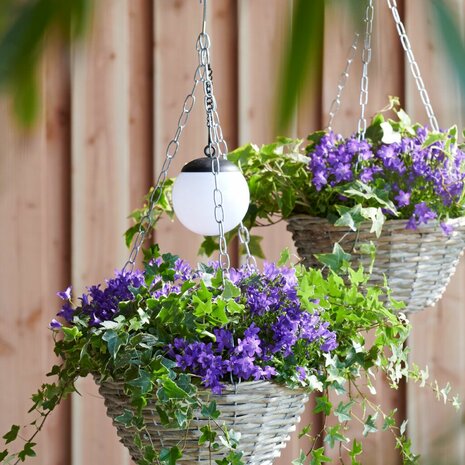 Solar hanging basket lamp 10 x H 25 cm