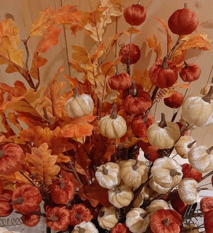 Pompoen kunsttak Oranje 10x4x50cm.