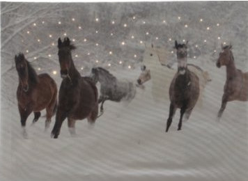 Canvasdoek Paarden LED verlichting 40x30