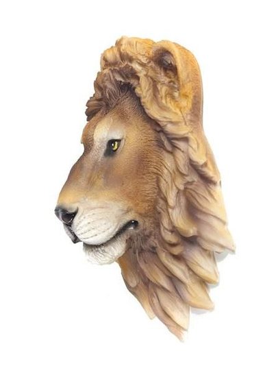 POLY LEEUW HOOFD SCHUTTINGDECO