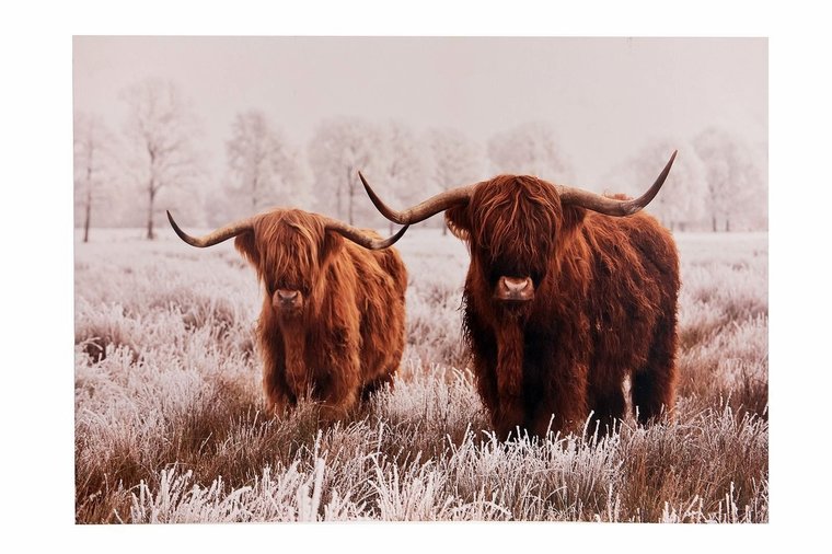 Schotse Hooglanders wood wallart 58x3x78cm