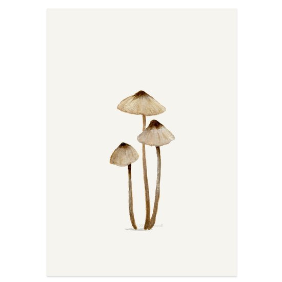 Kaart Melksteelmycena