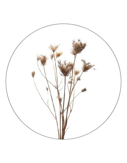 Muurcirkel 20 cm met droogbloemen Zoedt