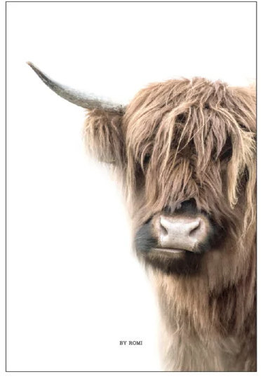 Kaart Schotse Hooglander Bruin