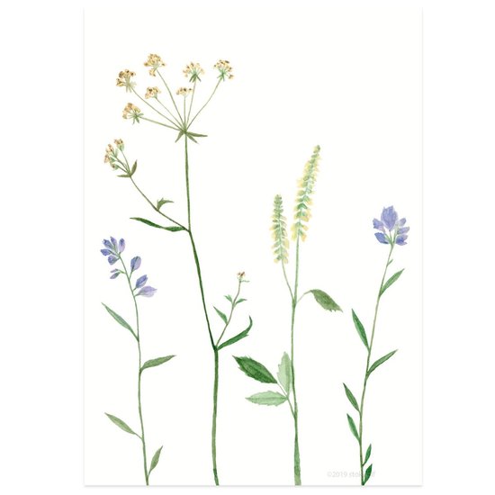 Kaart Bergbloemen lila