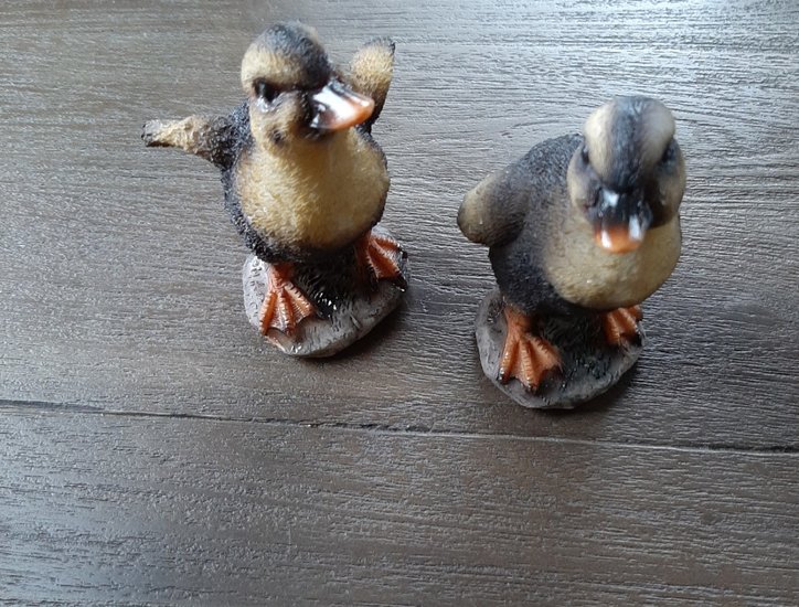 Eendjes voor decoratie set van 2 stuks.
