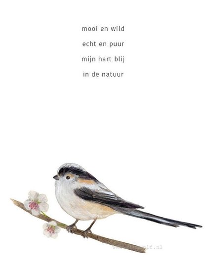 Poster A4  Natuur met gedicht