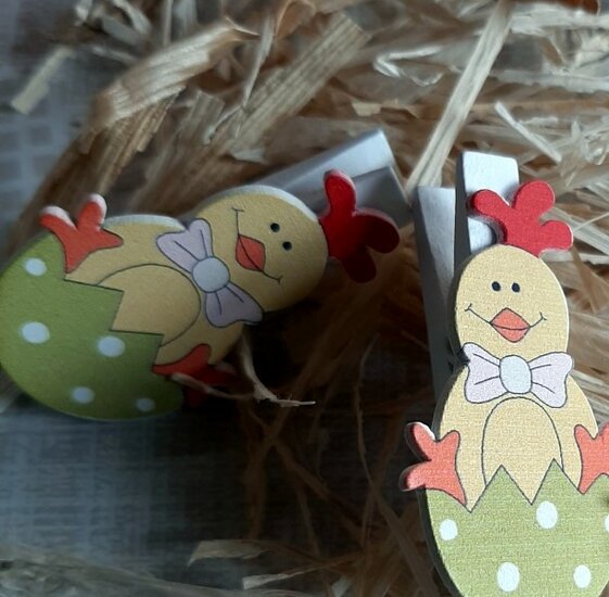  Knijpertjes Kip in ei | Hout 3,5 cm. 8x