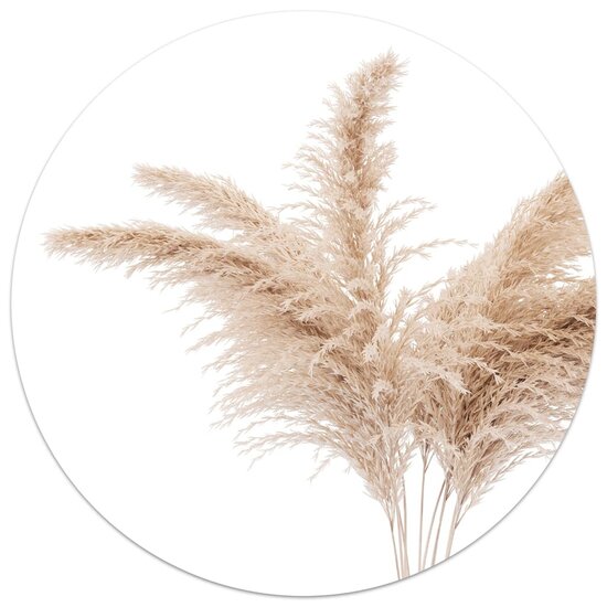 Muurcirkel foto pampas gras.30 cm Zoedt