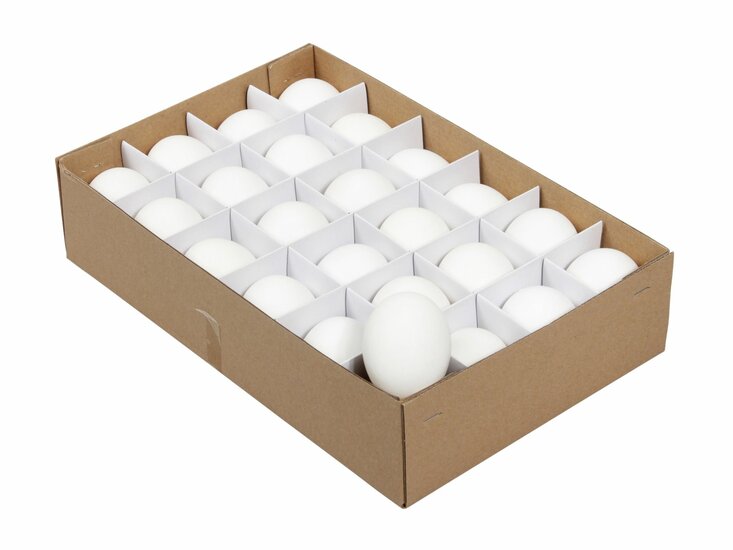 Kippeneieren 24 stuks Wit