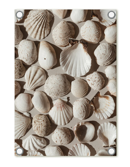 Tuinposter foto met schelpen ZOEDT
