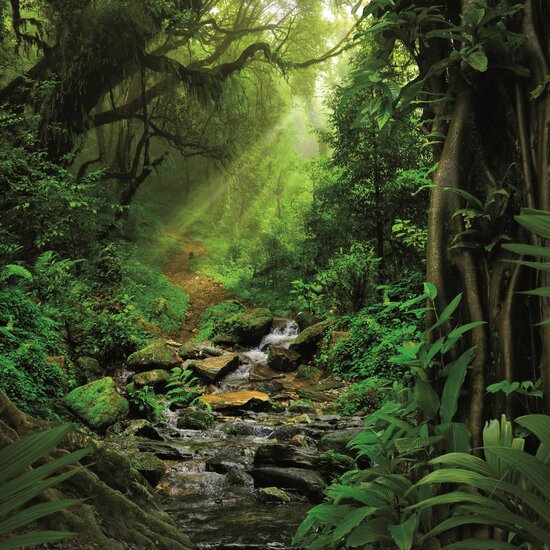 BUITEN CANVAS 58X58CM JUNGLE