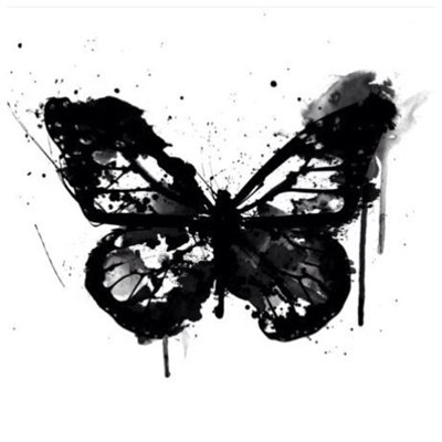 Photoblock | Black Butterfly