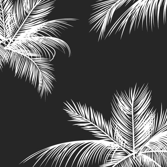 Photoblock | Palmbomen zwart-wit