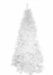 Witte veren bestellen Witte veren bestellen